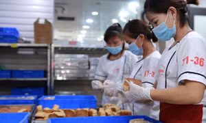 Các cơ sở bánh Trung thu hối hả vào vụ sản xuất 