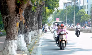 Thời tiết ngày 21/2: Trước khi không khí lạnh tràn về, miền Bắc nắng nóng 34 độ C