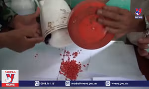 Thanh Hóa bắt đối tượng giấu ma túy trong hộp măng muối lẫn ớt