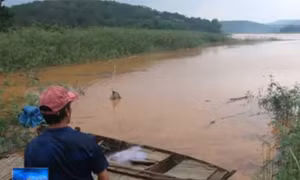 3 học sinh lớp 9 tử vong do đuối nước tại Bình Phước