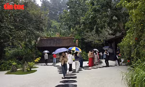 Khách thập phương đội mưa xuân vãn cảnh chùa Địa Tạng Phi Lai