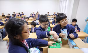 Nhiều lợi ích từ chương trình sữa học đường
