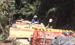 Kon Tum lại phát hiện 'đoàn xe lâm tặc' chở gỗ trái phép