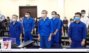 Xét xử nguyên Giám đốc Bệnh viện Tim Hà Nội và đồng phạm