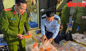 Xử phạt và buộc tiêu hủy hơn 1 tấn thực phẩm đông lạnh không rõ nguồn gốc