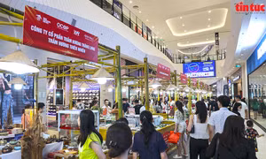 Kết nối tiêu thụ sản phẩm nông sản, chế biến OCOP