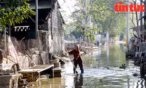 Hà Nội: Tập trung hỗ trợ những nơi còn bị ngập lụt và khôi phục sản xuất