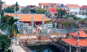 Mão Điền, miền quê thuần nông được mệnh danh là 'làng Đại học' 