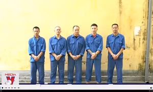 Hưng Yên khởi tố đường dây đánh bạc hơn 2.000 tỷ đồng