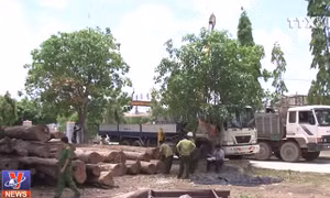  Khởi tố Đội trưởng Đội Kiểm lâm cơ động số 1 của Đắc Nông