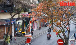 Một Hà Nội đẹp ngất ngây trong khúc giao mùa 