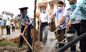 Cảnh sát biển phát động 'Trồng 1 tỷ cây xanh - Vì một Việt Nam xanh' 