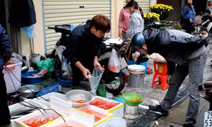 Nhộn nhịp thị trường cá chép đỏ Tết ông Công, ông Táo
