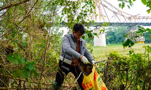 Biến bãi rác thành khu vui chơi sinh thái bên cầu Long Biên