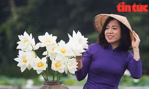 Đầm sen trắng thu hút người dân Hà thành chiêm ngưỡng