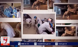 Hãy là 'lá chắn' trước fake news