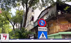 Hà Nội: Biển báo đỗ xe ngày chẵn, lẻ bị ‘vô hiệu hoá’