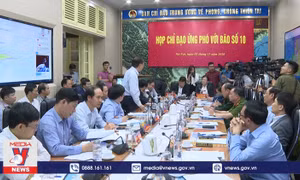 Không chủ quan với bão số 10