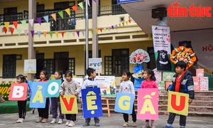 Học sinh Trường tiểu học Phụng Thượng chung tay bảo vệ loài gấu 