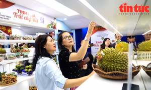 Công nghệ QR code – Bước tiến minh bạch hóa nguồn gốc nông sản Việt