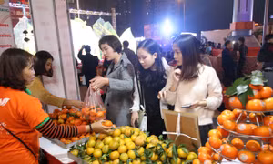 ‘Tuần lễ cam sành, các sản phẩm OCOP và sản phắm tiêu biểu tỉnh Hà Giang năm 2019’ tại Siêu thị Big C Thăng Long