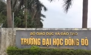Khởi tố thêm hai bị can trong vụ án tại Trường Đại học Đông Đô