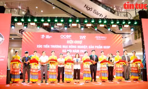 Cơ hội kết nối giao thương xuất khẩu nông sản Việt Nam