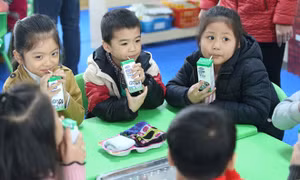 Biết bao sự chung tay để có ly sữa học đường an toàn, hiệu quả cho trẻ em Thủ đô
