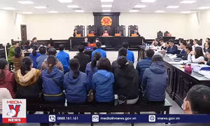 Lừa đảo chiếm đoạt hàng trăm tỷ đồng của 3 ngân hàng