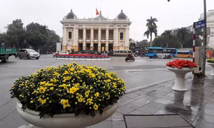 Hà Nội: Từ thành phố vì hòa bình hướng đến Thủ đô sáng tạo