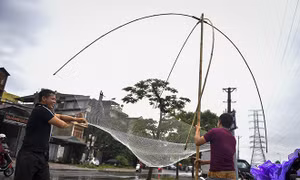 Sau mưa bão, người Hà Nội rủ nhau ra sông Kim Ngưu đánh bắt cá