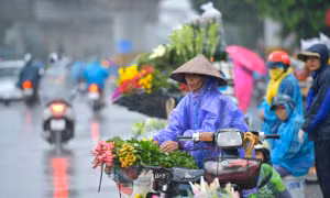 Thời tiết ngày 15/3: Bắc Bộ có mưa phùn, trời nồm ẩm