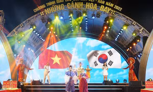 Nhiều nghệ sĩ Kpop biểu diễn trong 'Những cánh hoa bay' trên phố đi bộ Trịnh Công Sơn