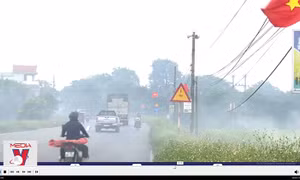 Nam Định sẽ xử lý hình sự việc đốt rơm rạ gây ô nhiễm môi trường
