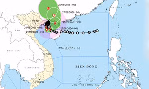 Thời tiết ngày 24/8: Bão số 4 mạnh cấp 9, gây mưa đặc biệt lớn tại Đông Bắc Bộ