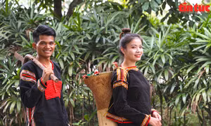 Lễ rước rể độc đáo của người Ê Đê, Tây Nguyên