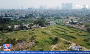 Nhộn nhịp rao bán đất nông nghiệp ở quận Thanh Xuân (Hà Nội)