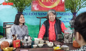 Lan tỏa tinh hoa văn hóa trà Việt tại Lễ hội Du lịch Hà Nội 2026