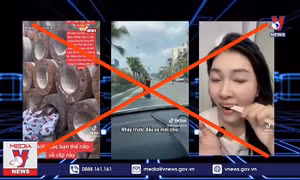 TikTok có nên bị cấm tại Việt Nam?