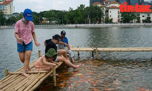 Ngắm đàn cá Koi đủ màu sắc trên Đầm Đông