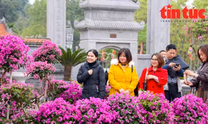 Mê Linh sẵn sàng cho Festival hoa 2022