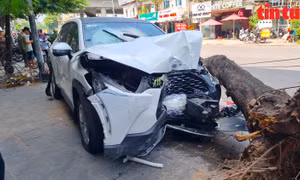 Hiện trường xe ô tô mất lái tông hơn 10 xe máy, cây xanh bật gốc giữa phố Hà Nội