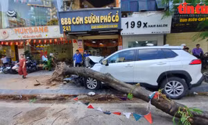 Vụ ô tô đâm liên hoàn xe máy trên phố Trần Đại Nghĩa (Hà Nội): Một nạn nhân tử vong