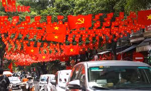 Việt Nam ngày càng có nhiều đóng góp tích cực, chủ động cho cộng đồng quốc tế