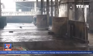 Đóng cửa lò mổ gây ô nhiễm môi trường nghiêm trọng ở Nghệ An