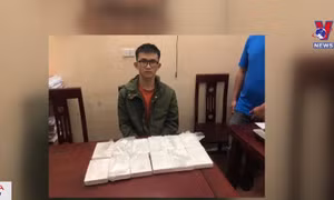 Nghệ An bắt giữ vụ vận chuyển 12 bánh heroin