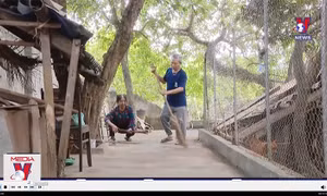 Làm sao để lương hưu đủ sống?