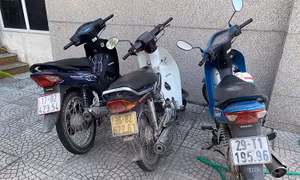 Tạm giữ nhóm đối tượng trộm cắp tài sản, tàng trữ trái phép chất ma túy