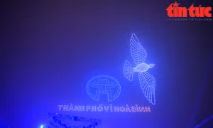 Mãn nhãn đêm hòa nhạc ánh sáng và màn trình diễn của 2025 drone