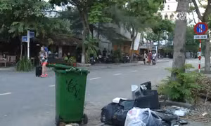 Rác thải, cỏ dại mọc tràn xuống đường tại khu 'Phố Tây' Đà Nẵng